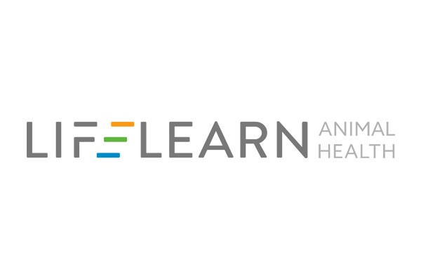 Executive Search Lifelearn Logo