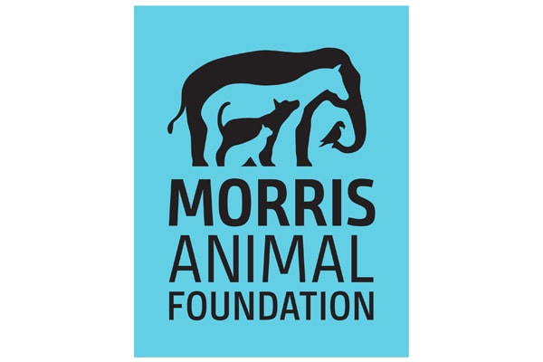 Executive Search Morris Animal Foundation Logo
