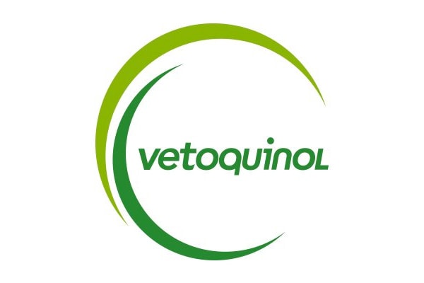 Executive Search Vetoquinol Logo