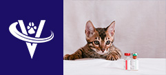 Associate Veterinarian – Westminster, CO – #10007