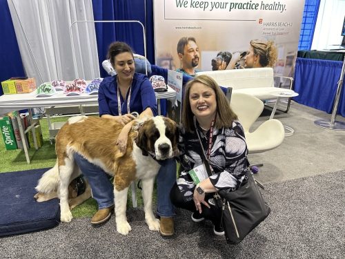 the-vet-recruiter-photo-gallery-Stacy-with-Saint-Bernard