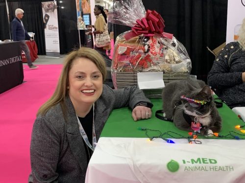 the-vet-recruiter-photo-gallery-Stacy-with-Sunglasses-Cat-at-New-York-Vet