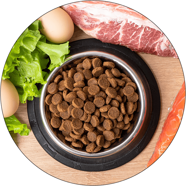 Sector Circle Animal Health Nutrition Pet Food