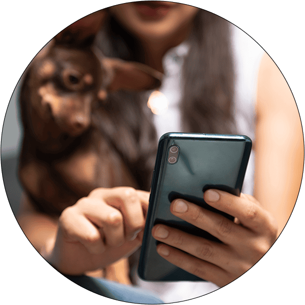 Sector Circle Animal Health Pet Technology