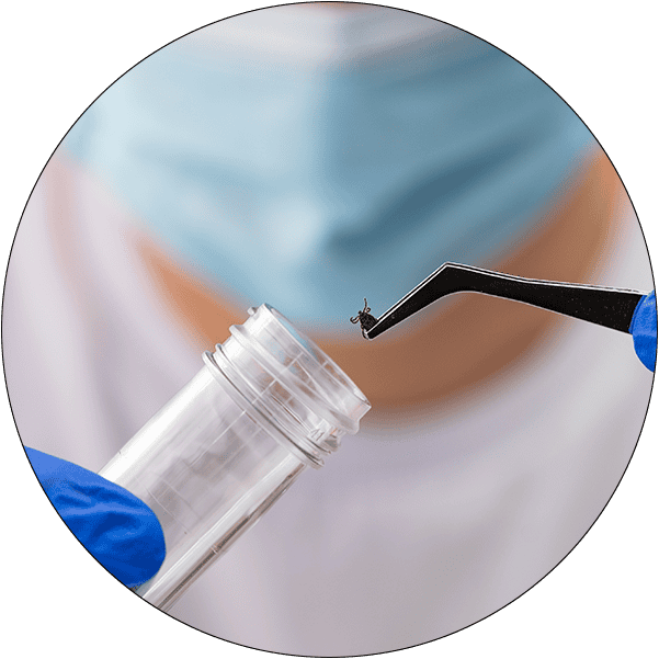 Sector Circle Veterinary Diagnostics