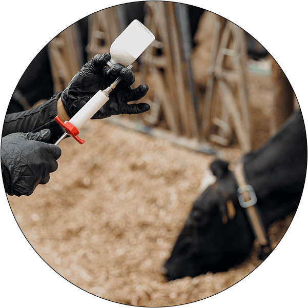 Sector Circle Veterinary Pharmaceuticals