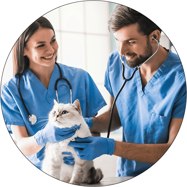 Sector Circle Veterinary Practice