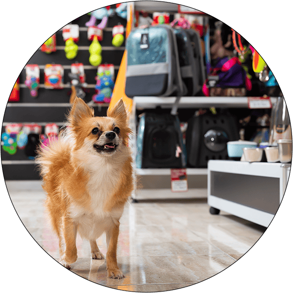 Sector Circle Veterinary Products Services