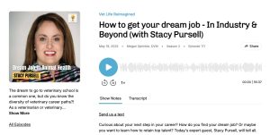 The Vet Recruiter How To Get Your Dream Job Vet Life Reimagined