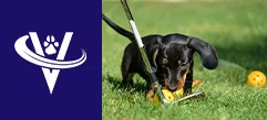 Associate Veterinarian – Lake Forest, CA – #9645