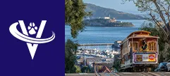 Board-Certified Radiologist – San Francisco East Bay, CA – #9763