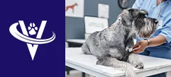 Board-Certified Veterinarian Cardiologist – Kalamazoo, MI – #9641