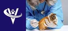 Associate Veterinarian – Sacramento, CA – #9759