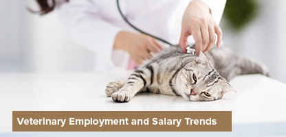 Vet Recruiter Candidates Veterinary Employment Salary Trends