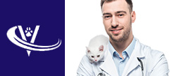 Veterinary Recruiter Cat Vet 2 Thumbnail