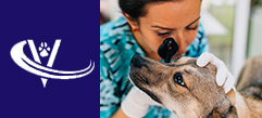 Veterinary Recruiter Dog Vet 2 Thumbnail