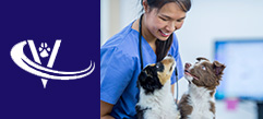 Veterinary Recruiter Dog Vet 4 Thumbnail