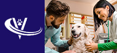 Veterinary Recruiter Dog Vet 5 Thumbnail