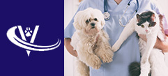 Veterinary Recruiter Veterinary 2 Thumbnail