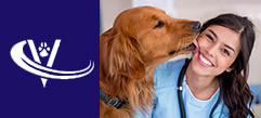 Veterinarian Looking for Opportunities in the Raleigh/Durham area