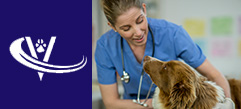 Animal Health Careers Veterinary Jobs 2022